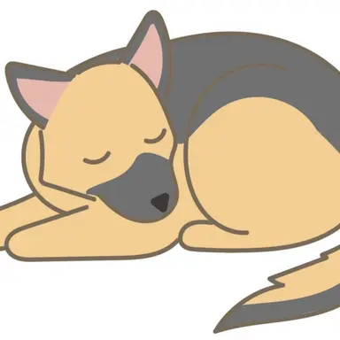 Profile image of Leo