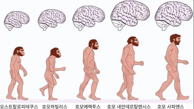 Profile image of 인류