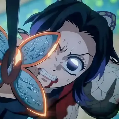 Profile image of 胡蝶しのぶ