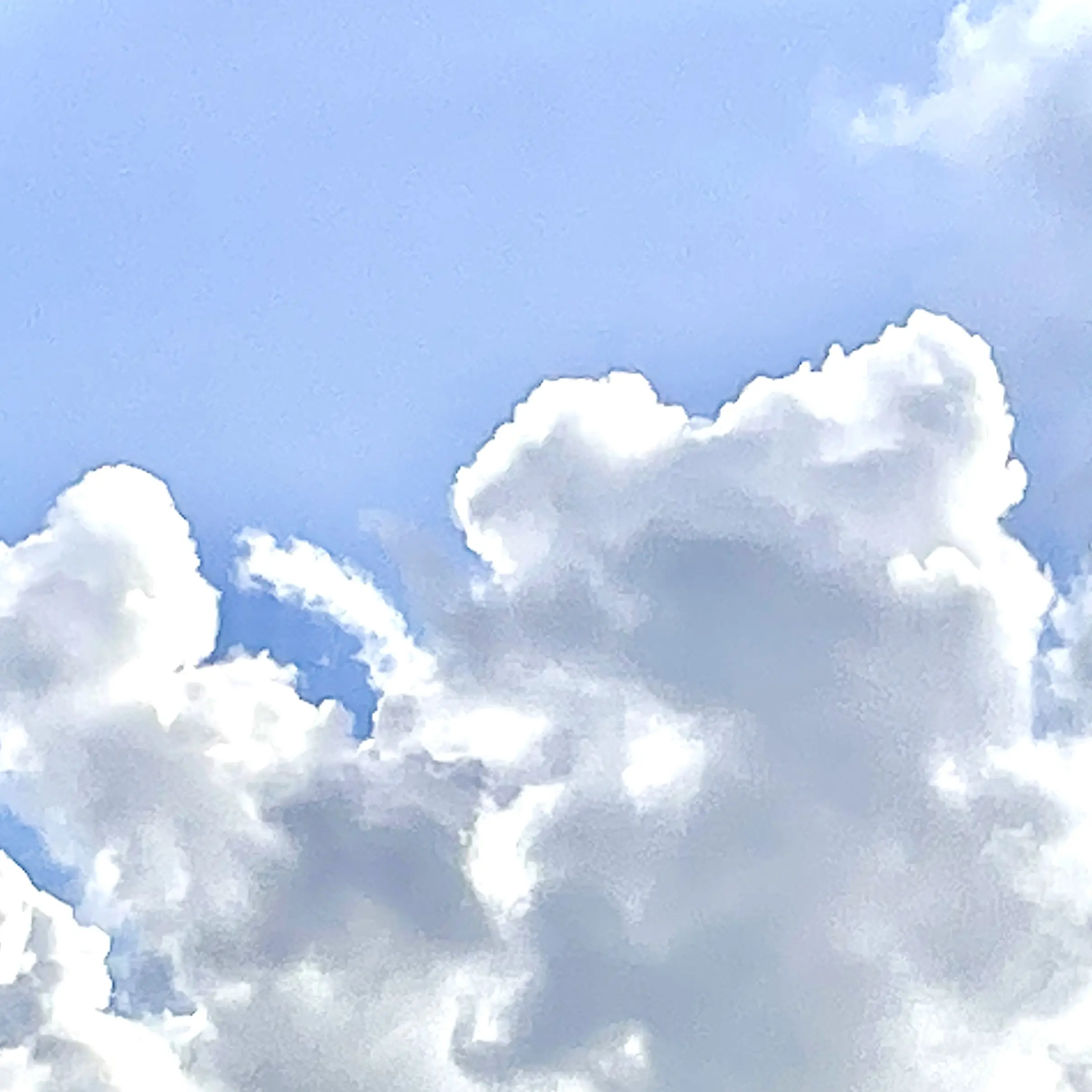 PurelyCloud4583의 김신우
