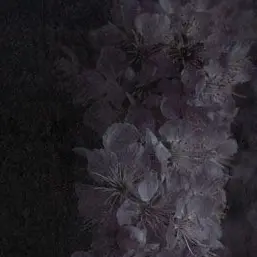 Profile image of 백상