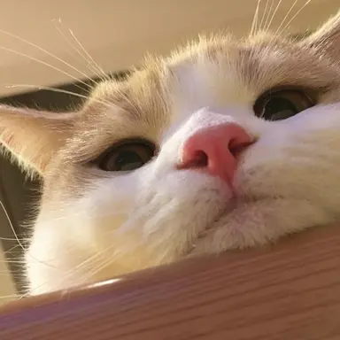 Profile image of 김규빈