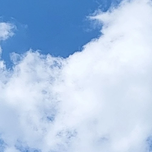 금마리