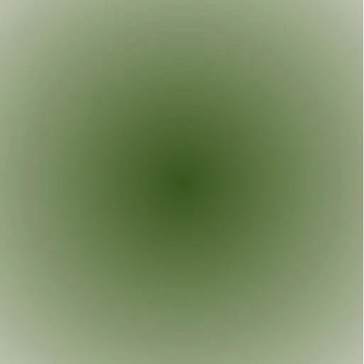 るいと