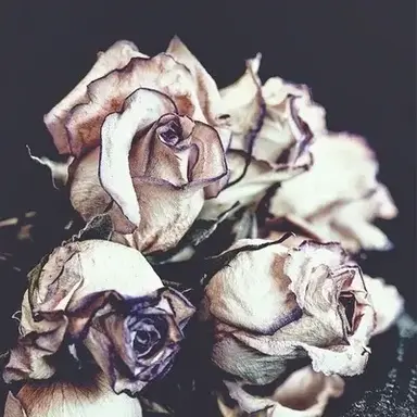 Profile image of Toxic family