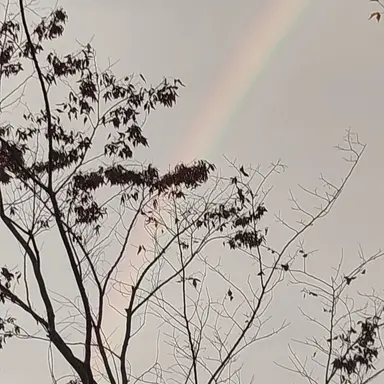 Profile image of 한 호국