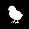 Profile image of G
