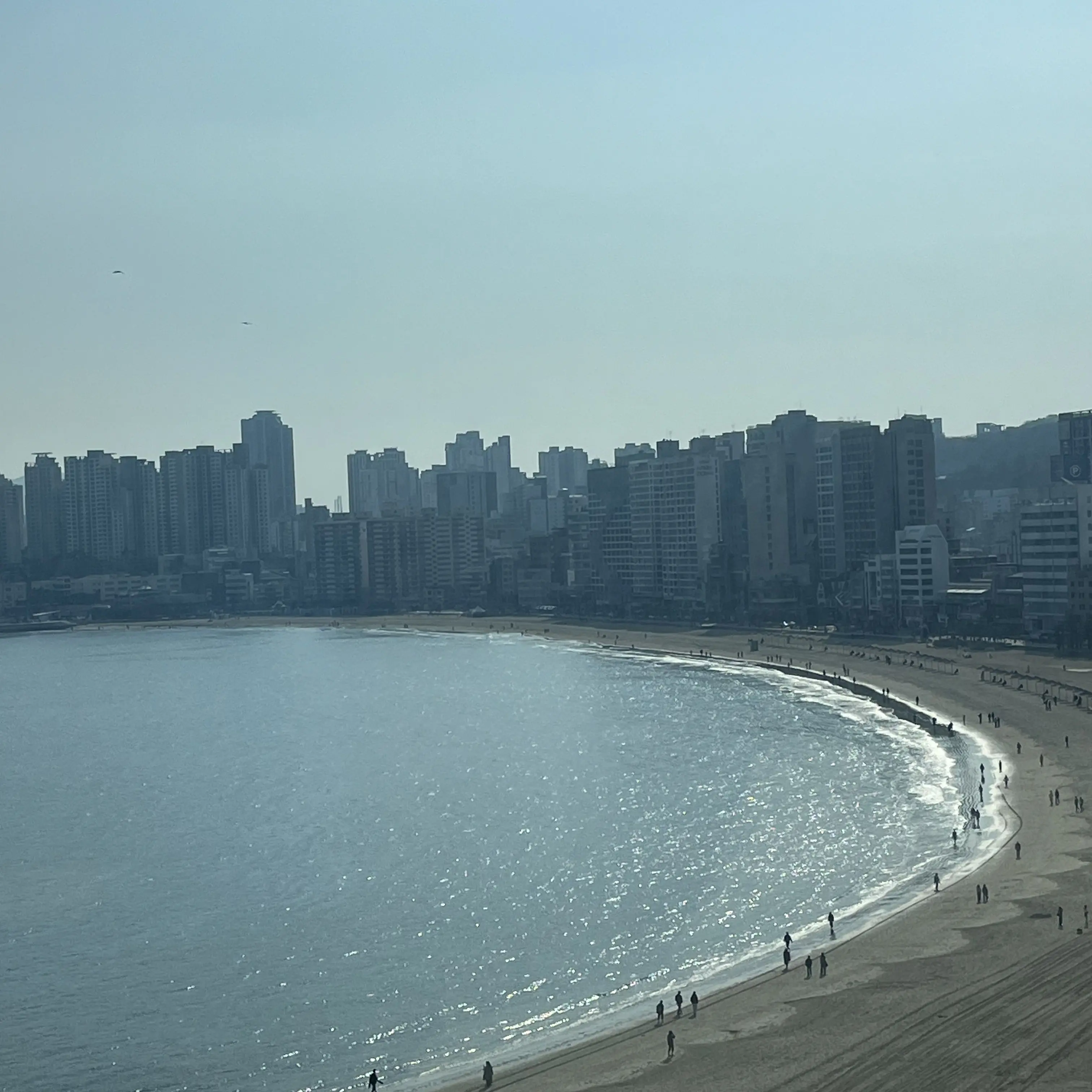 SwiftIce6559의 유트버 MT