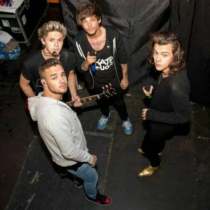MutedFloss4565의 one direction