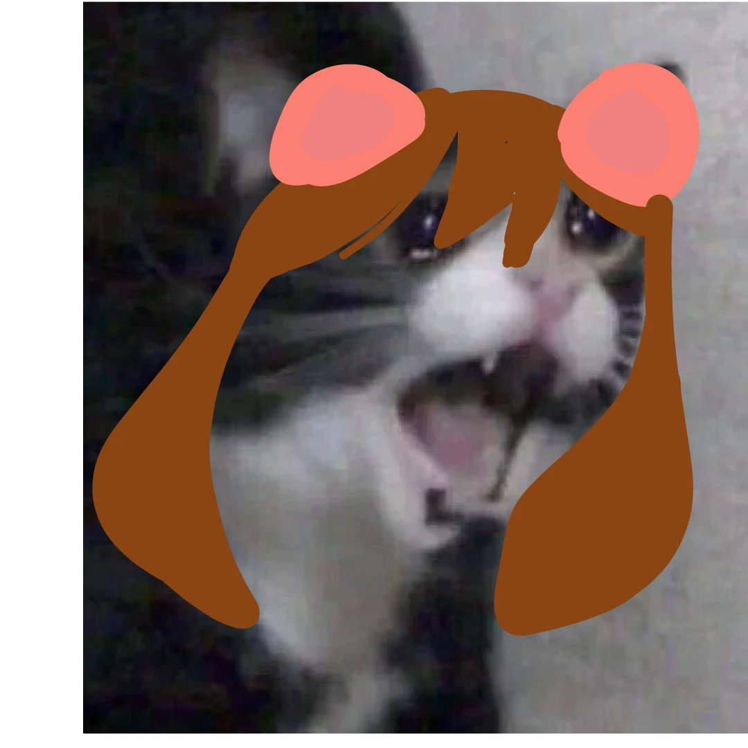 곰돌라희