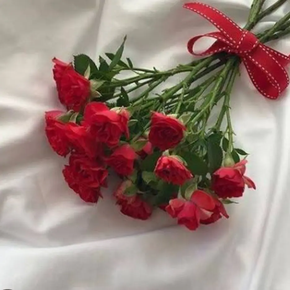 jawyun의 연애프로그램💘💌<뜰팁>