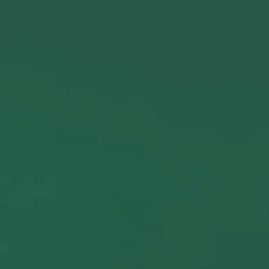 CrispyMine0702의 使用厳禁