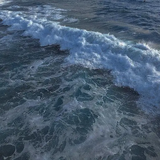 tide의 홍해영