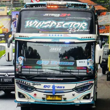 Profile image of WINSPECTOR
