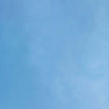 Profile image of SnowMan