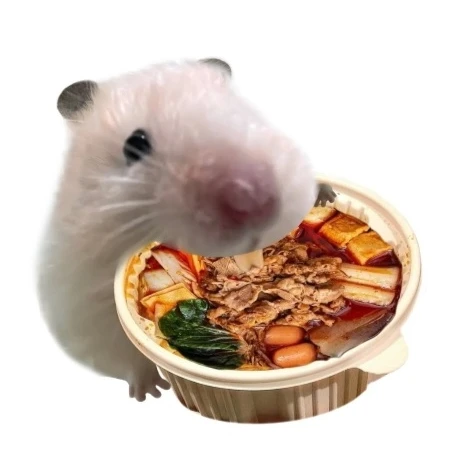 마라탕 조아하는 햄터