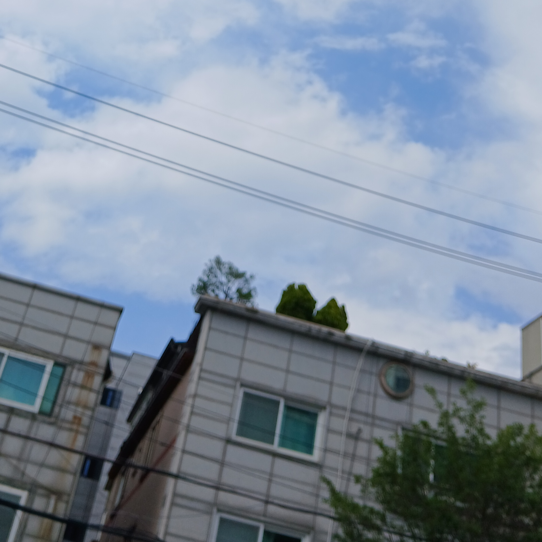 잠뜰티비 요정들 대표 이미지