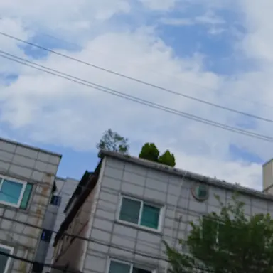 Profile image of 요정들