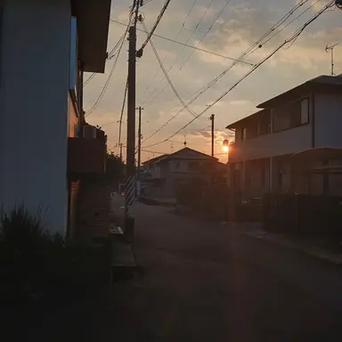 Profile image of 苗木誠