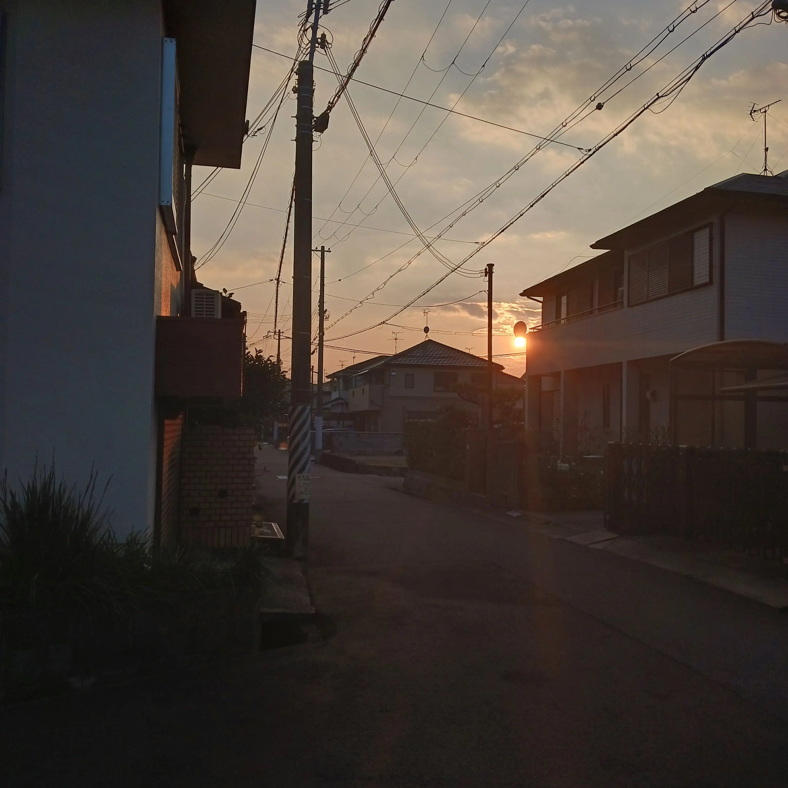 EthnicBox7470의 ダンガンロンパにSCP組み込んでみた