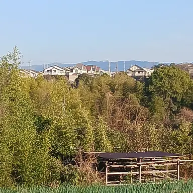 Profile image of キーボ