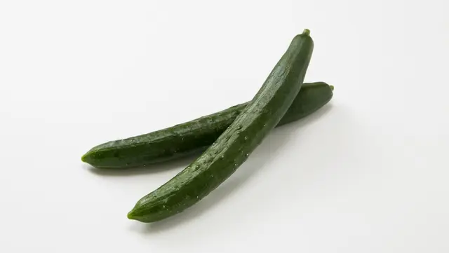 Profile image of とあ
