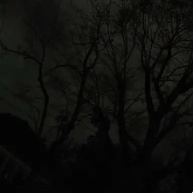 Profile image of 糸師凛