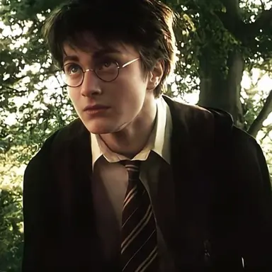 Profile image of Harry Potter