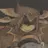 Telamon