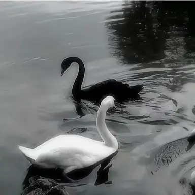 Profile image of 유지민