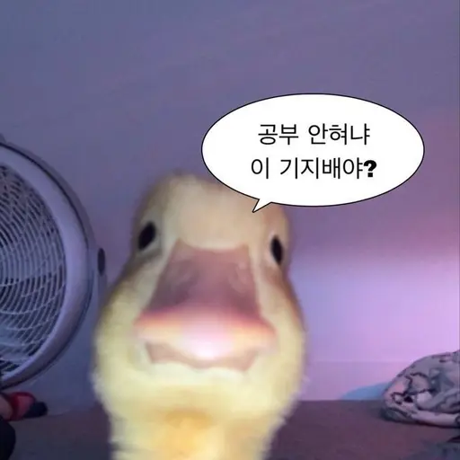 qwerty_11의 중간고사