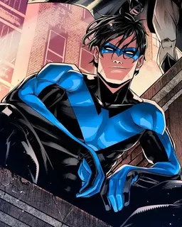 Profile image of Nightwing