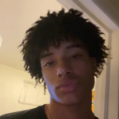 Profile image of Amir