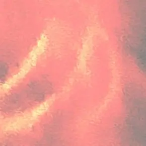 Profile image of Alyssa