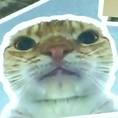 Profile image of Hohenheim