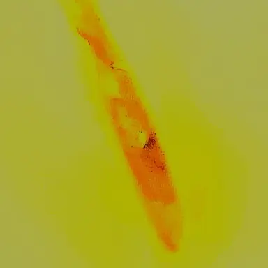 Profile image of Don Quixote