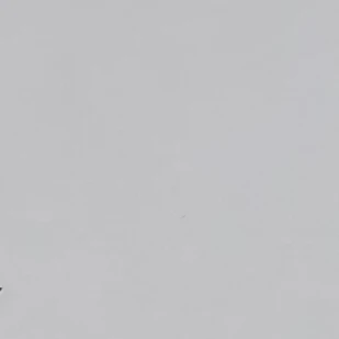 평학