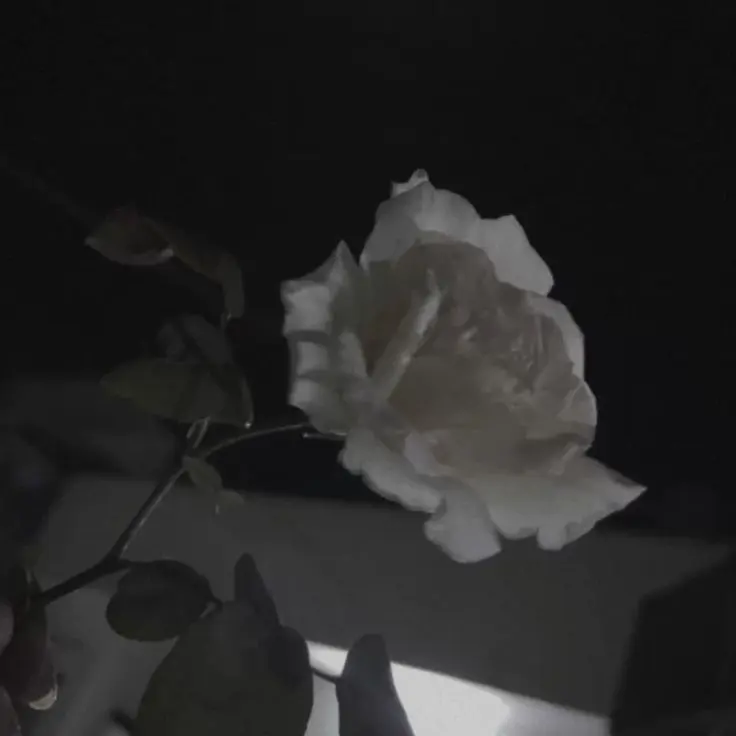 __xq.의 君の隣を奪いたい