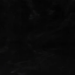 🦊