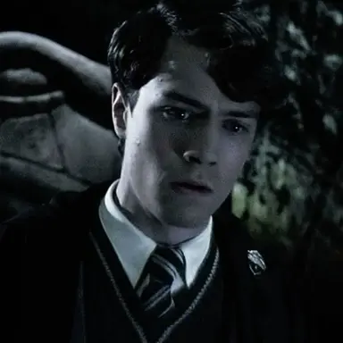 Profile image of Tom Riddle