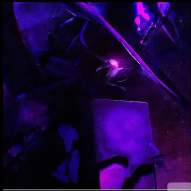 Profile image of 애저