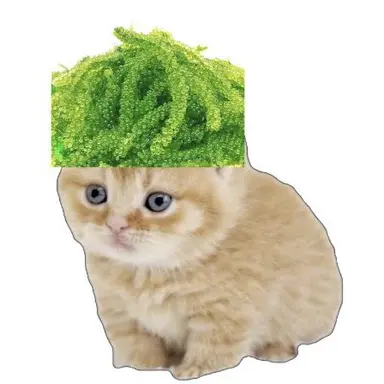 Profile image of こりっきー