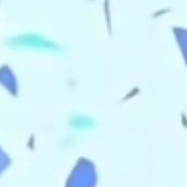 Profile image of ころん
