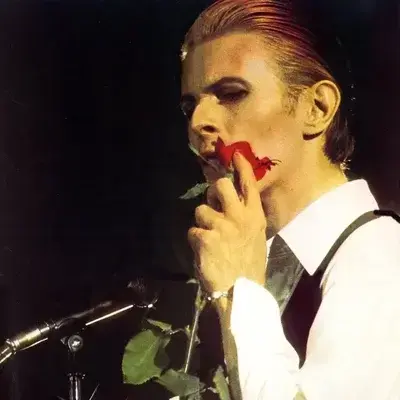 FunnyCoat6370의 David Bowie