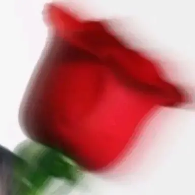 Profile image of 박지훈