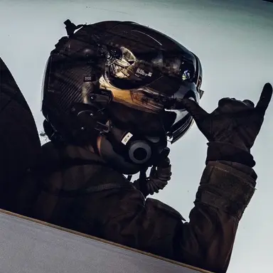 Profile image of Stinger