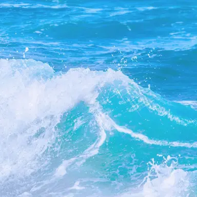 Profile image of 라더