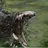 scp-682