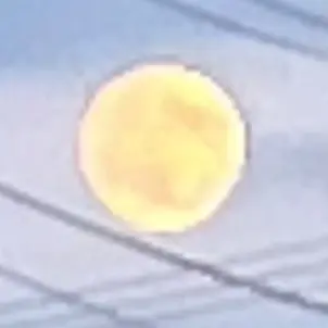 Profile image of 岩本照