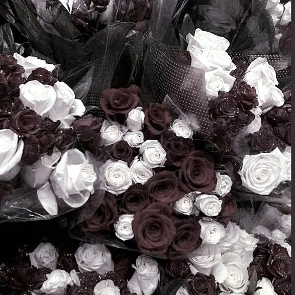 Foolish_loves_like0360의 뜰팁고 레전드들